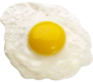 egg